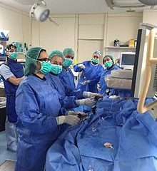 Intervencionismo Vascular